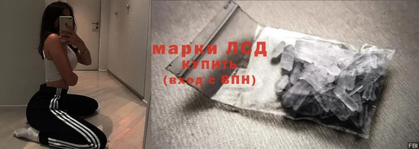 стаф Сосновый Бор