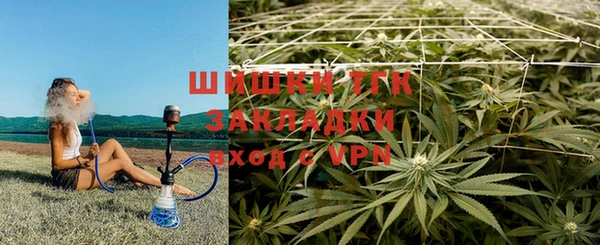 дурь Белокуриха