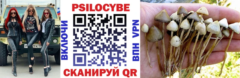 Галлюциногенные грибы мицелий  ссылка на мегу ссылка  Севск 